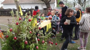 06-DSC09782