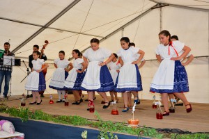 32-DSC_7645