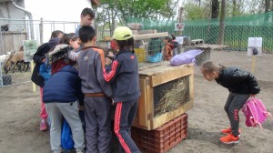 42-DSC09738