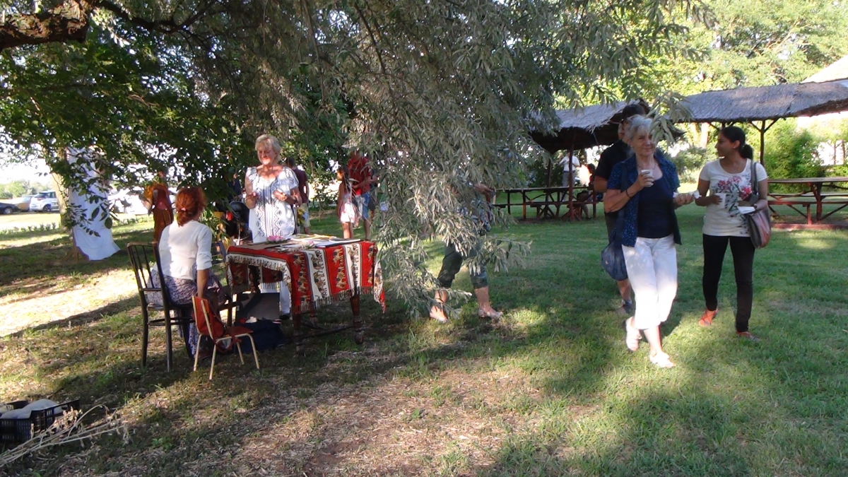 DSC00530