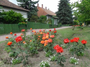 DSC01801 