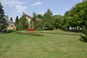 DSC01803 