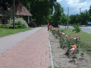 DSC01894 