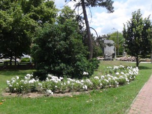 DSC01902  
