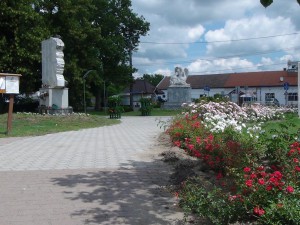 DSC01905  