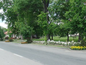 DSC019170 