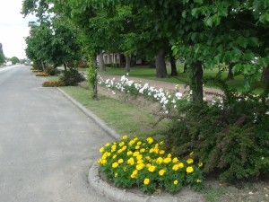 DSC019200 